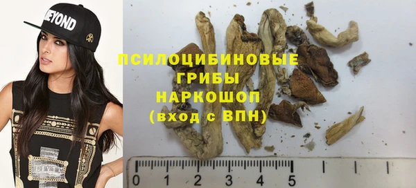 прущий лед Бронницы