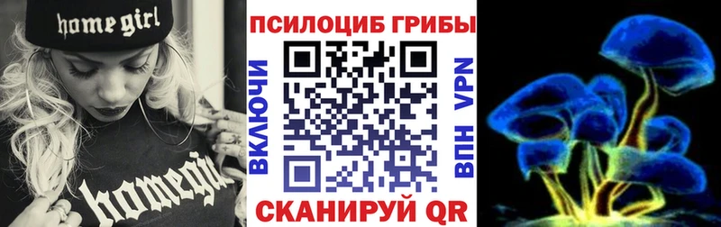 как найти закладки  Гусиноозёрск  Галлюциногенные грибы ЛСД 